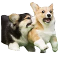 😬 emoji best pack ever Telegram sticker 23 of 70