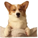 😴 emoji best pack ever Telegram sticker 9 of 70