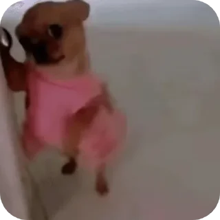 Sticker from Tik tok images