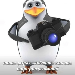 📸 emoji los pingüinos de madagascar Telegram sticker 21 of 27