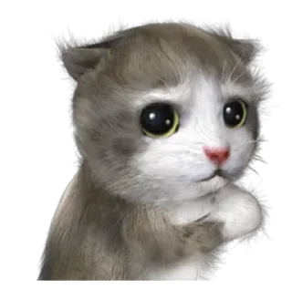 Sticker from Kitten @TVstickers
