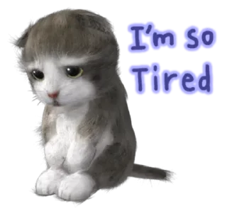 Sticker from Kitten @TVstickers