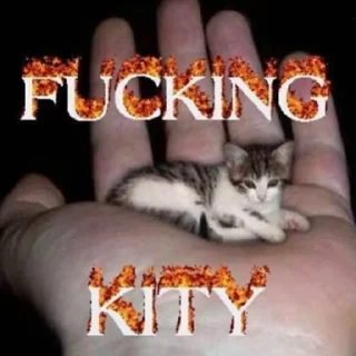 😼 emoji кринджина Telegram sticker 23 of 100