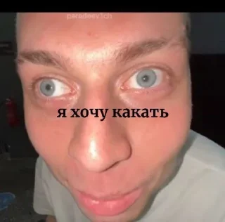 Sticker from хазяева любимки