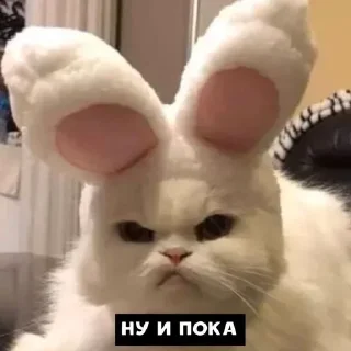 🌟 emoji Ты милашка Telegram sticker 10 of 40