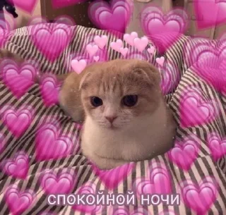 🌟 emoji Ты милашка Telegram sticker 13 of 40