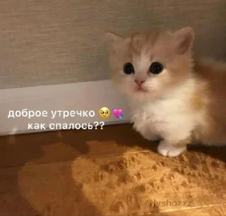 🌟 emoji Ты милашка Telegram sticker 11 of 40