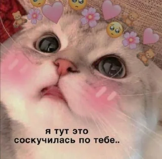 🌟 emoji Ты милашка Telegram sticker 16 of 40
