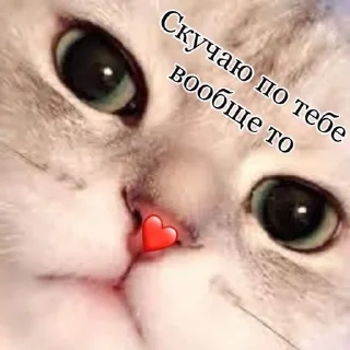 🌟 emoji Ты милашка Telegram sticker 17 of 40