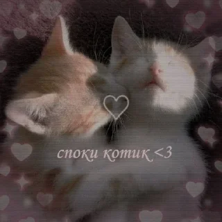 🌟 emoji Ты милашка Telegram sticker 21 of 40