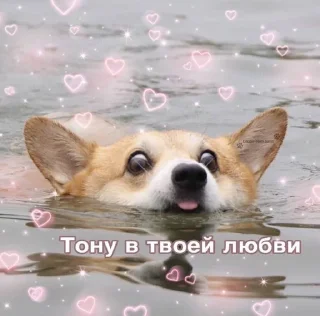 🌟 emoji Ты милашка Telegram sticker 14 of 40