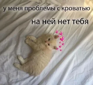 🌟 emoji Ты милашка Telegram sticker 18 of 40