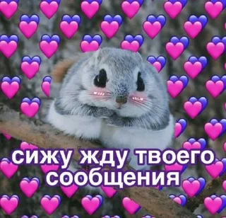 🌟 emoji Ты милашка Telegram sticker 5 of 40