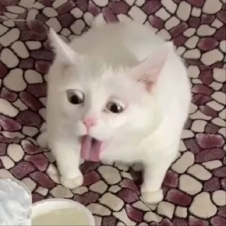 🤮 emoji catss Telegram sticker 19 of 75
