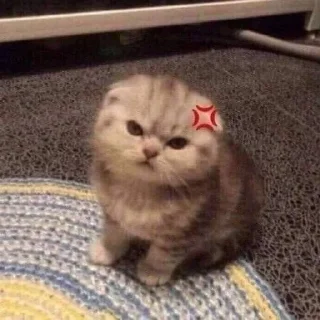😡 emoji catss Telegram sticker 4 of 75