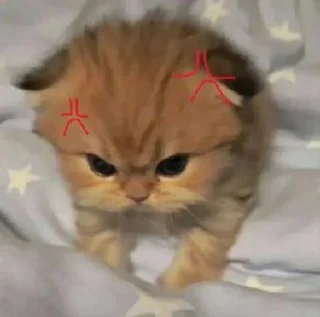 😡 emoji catss Telegram sticker 3 of 75