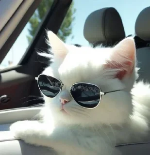 😎 emoji catss Telegram sticker 16 of 75