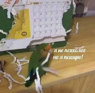 Sticker from мемчики