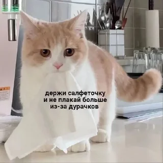 Sticker from мемчики