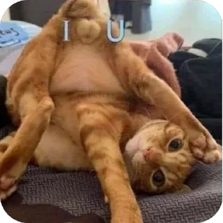 ❤ emoji Пак бекса Telegram sticker 5 of 23