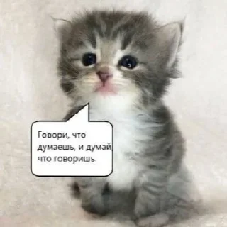 😜 emoji noLB (podgem) Telegram sticker 11 of 63
