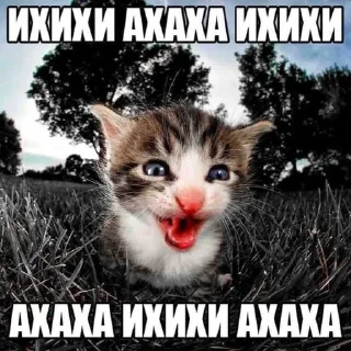 😜 emoji noLB (podgem) Telegram sticker 5 of 63