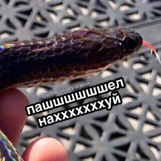 👌 emoji Картин очьки парт три Telegram sticker 17 of 120