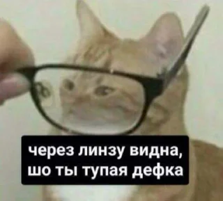 🥵 emoji Картин очьки парт три Telegram sticker 22 of 120