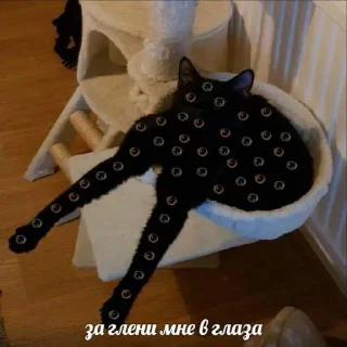 👀 emoji Картин очьки парт три Telegram sticker 20 of 120