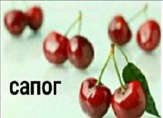 🍒 emoji Картин очьки парт три Telegram sticker 14 of 120