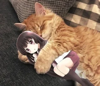 🫰 emoji Слишком много котят, но самый Telegram sticker 22 of 51