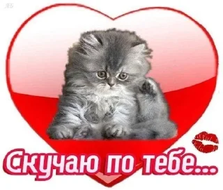 ❤️ emoji Слишком много котят, но самый Telegram sticker 5 of 51