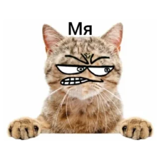 😺 emoji Стикер Пак в честь 150 участников расширения версия Telegram sticker 17 of 40