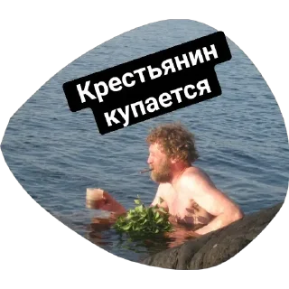 Sticker from Лицей