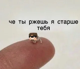 Хершилд : @mottofficial sticker 4