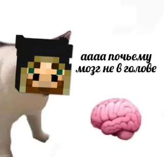 🌟 emoji Хершилд : @mottofficial Telegram sticker 6 of 120