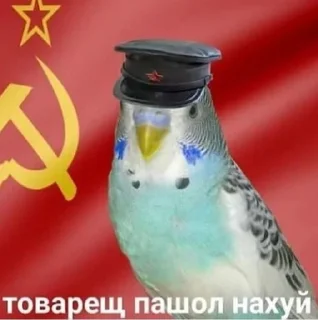 Sticker from Иосиф Сталин