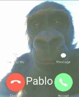 Sticker from PABLO