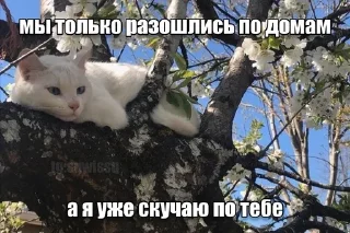 С. sticker 4