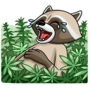 Sticker from Criminal Raccoon