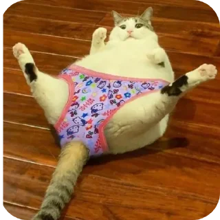 Sticker from meow by @Maslenka1911