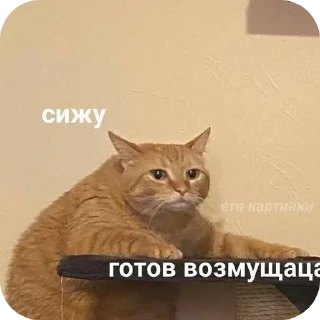 🐱 emoji meow by @Maslenka1911 Telegram sticker 23 of 58