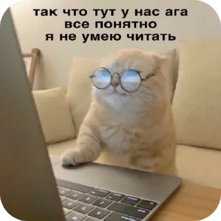 🐈 emoji meow by @Maslenka1911 Telegram sticker 18 of 58