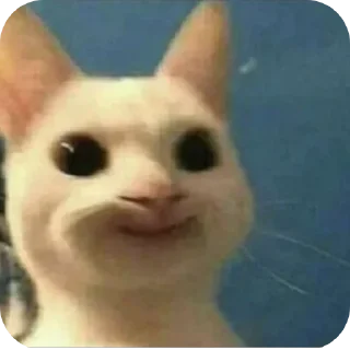 🐈 emoji meow by @Maslenka1911 Telegram sticker 14 of 58