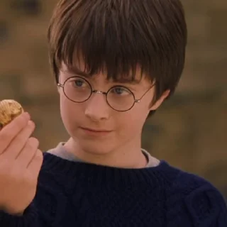 Sticker from Harry James Potter | @circlesec
