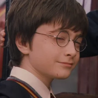 Sticker from Harry James Potter | @circlesec