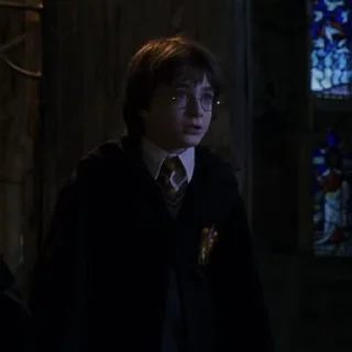 Sticker from Harry James Potter | @circlesec