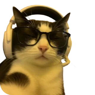 Sticker from Funny cats by @maved_stleslmra