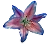 @lukky_ua @lukky_ua @lukky_ua sticker preview 3