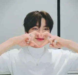 Sticker from skz 😻
